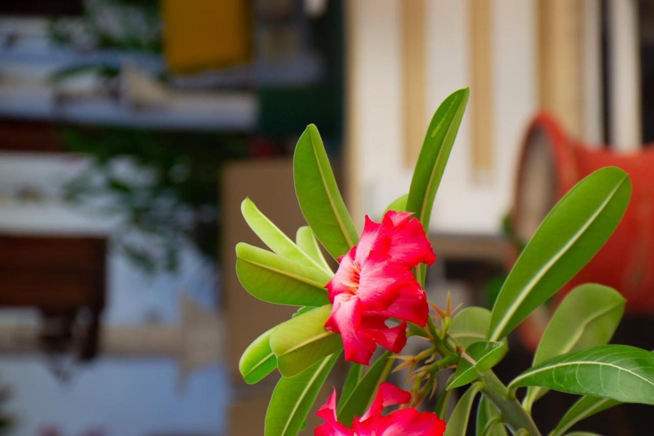 Hotel Tropicalia